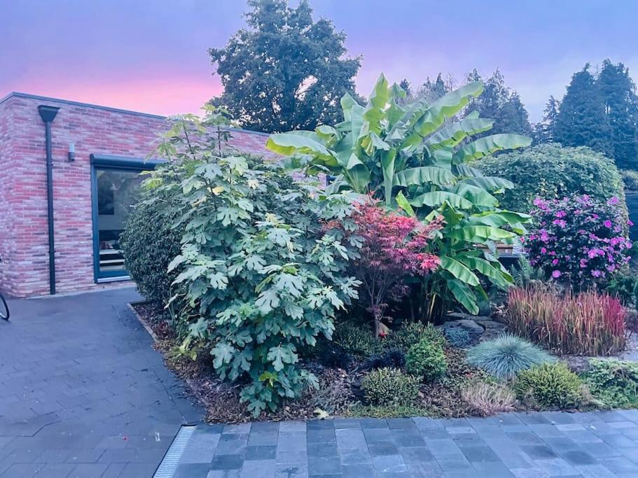 Prachtig Guesthouse Met Gratis Parkeren Maasmechelen Exteriér fotografie