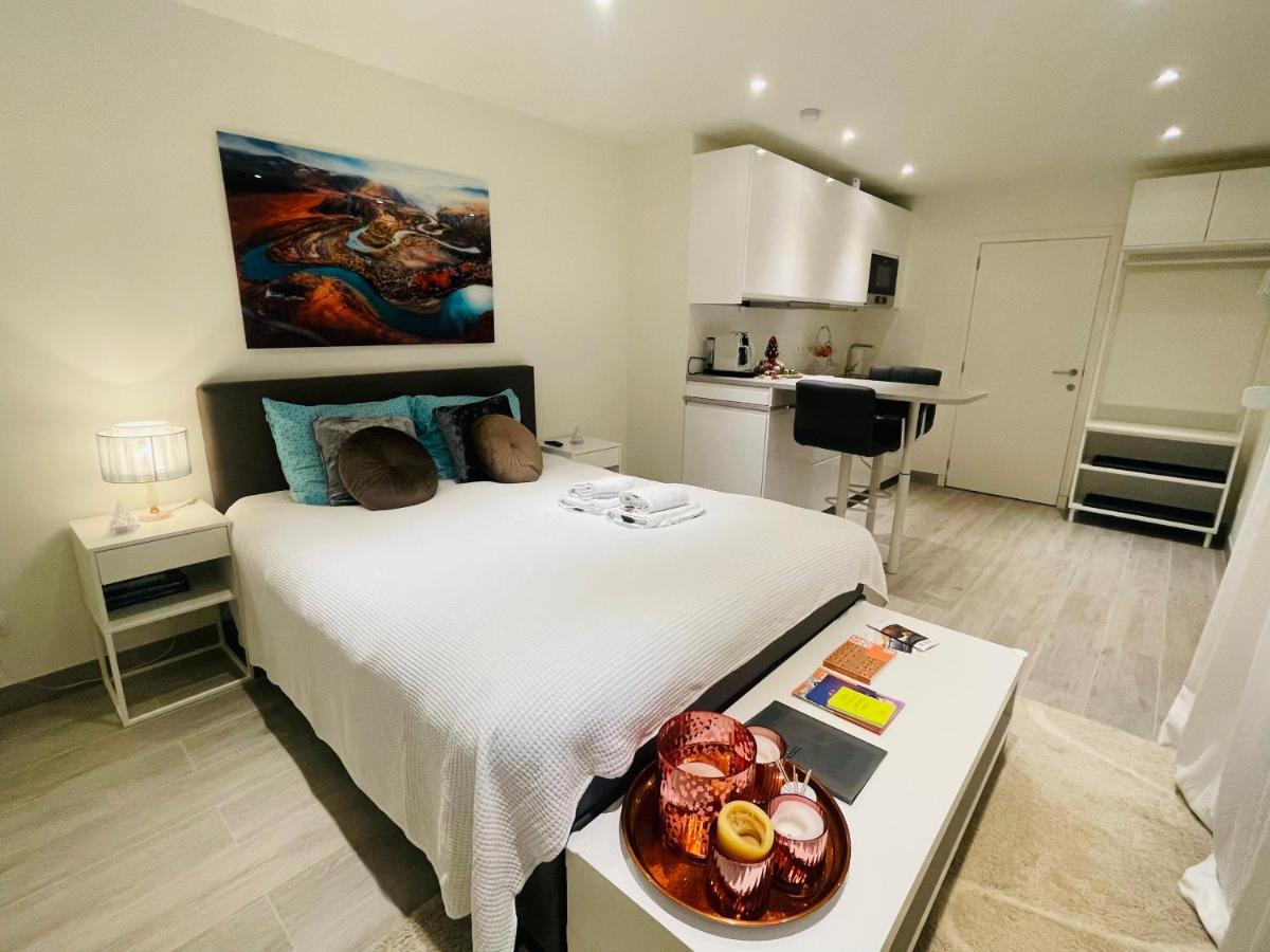 Prachtig Guesthouse Met Gratis Parkeren Maasmechelen Exteriér fotografie